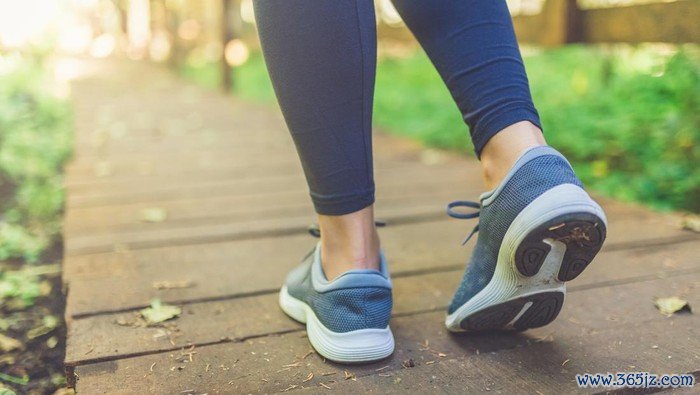 Close up of female legs with running shoes on wooden footpath in woods. Nature and sport healthy lifestyle concept.